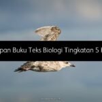 Jawapan Buku Teks Biologi Tingkatan 5 KSSM